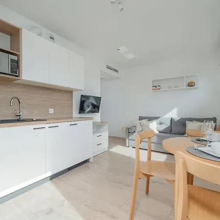 Air-conditioned Modern With Parking In The Centre Of By Renters Apartment