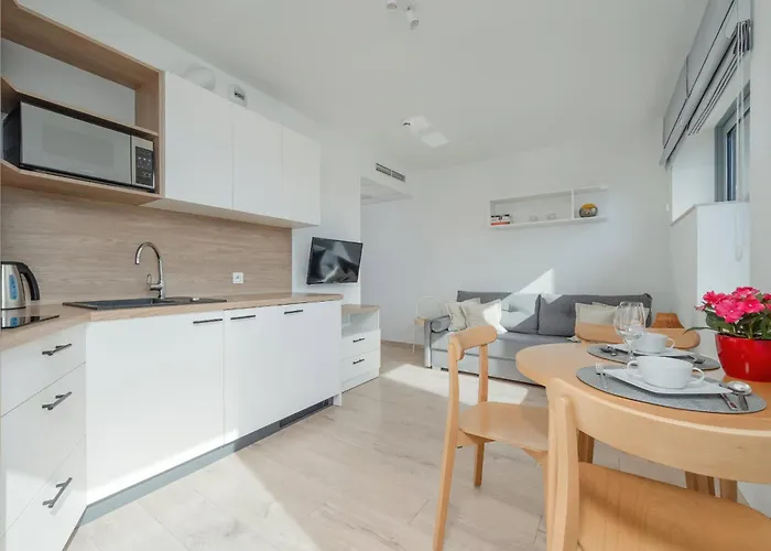 Air-conditioned Modern With Parking In The Centre Of By Renters Apartment